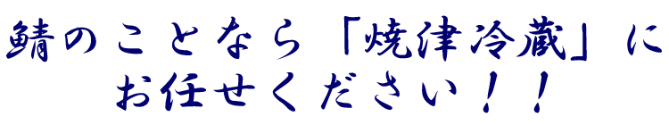 鯖のことなら「焼津冷蔵」にお任せください！！